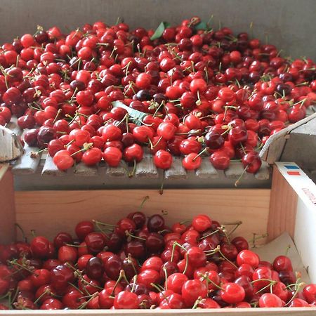 Les Vergers De La Bouligaire Gites Mirmande Ngoại thất bức ảnh